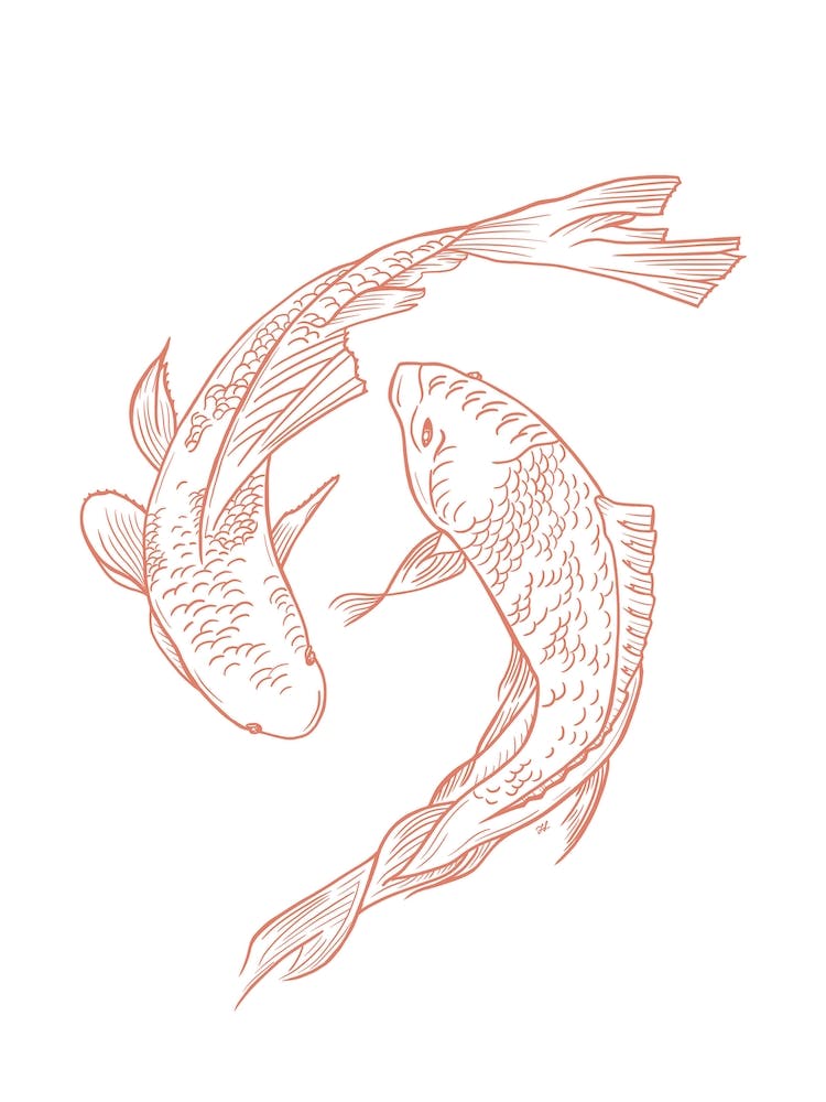 Red Koi Fish