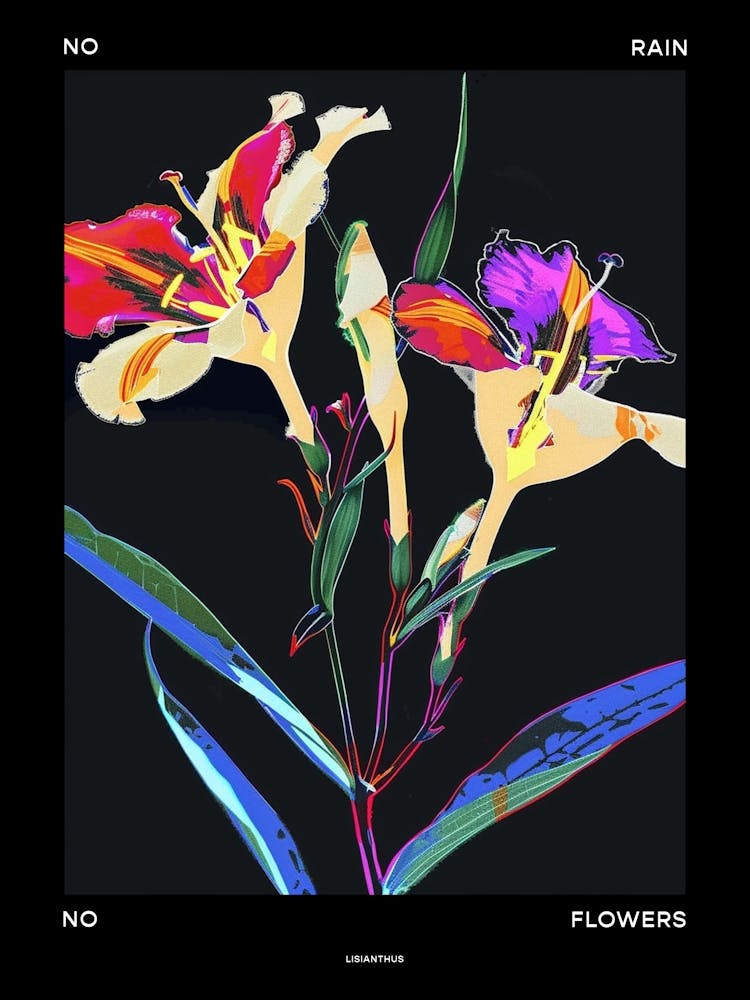 Pas De Pluie Pas De Fleurs Affiche Lisianthus 2