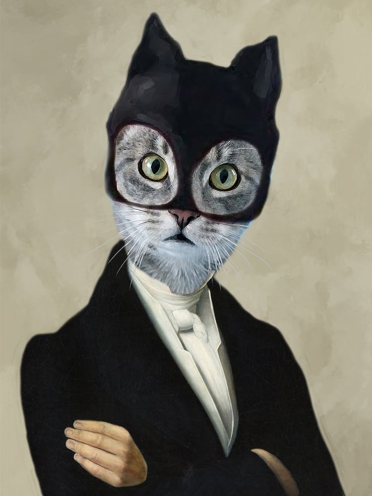 Batman Cat