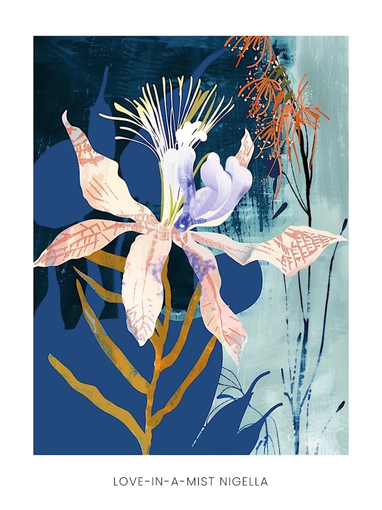 Colourful Flower Illustration Poster Love In A Mist Nigella 4