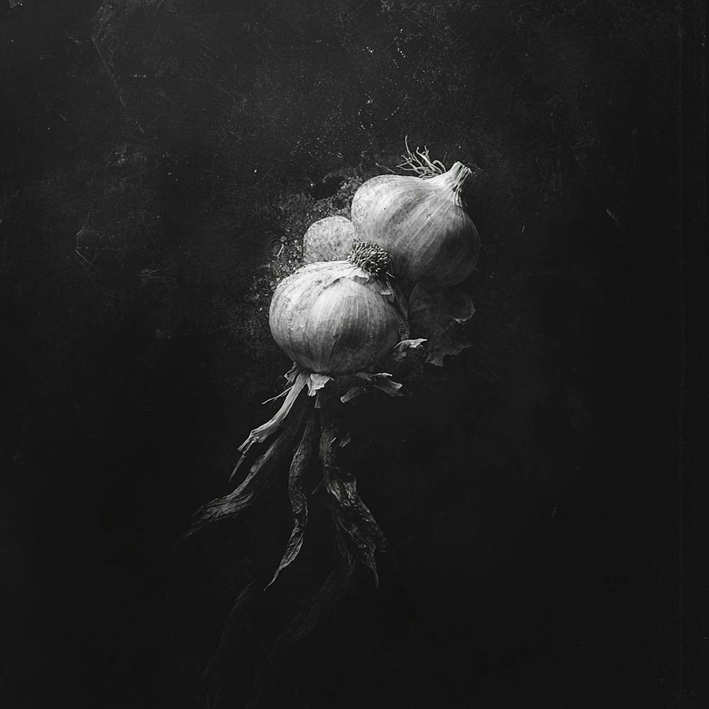 Onion