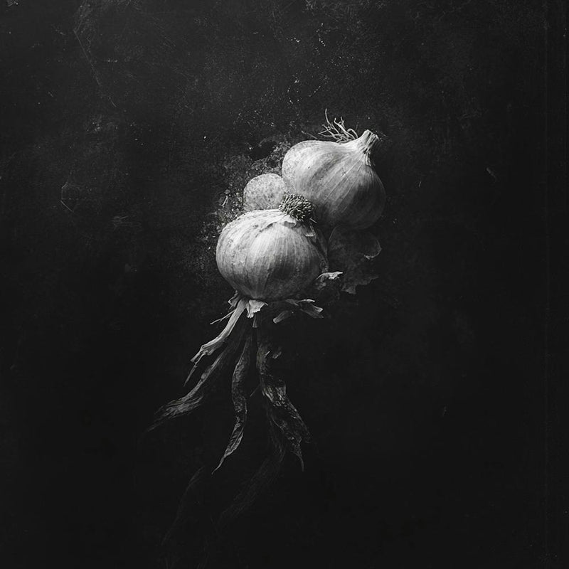 Onion
