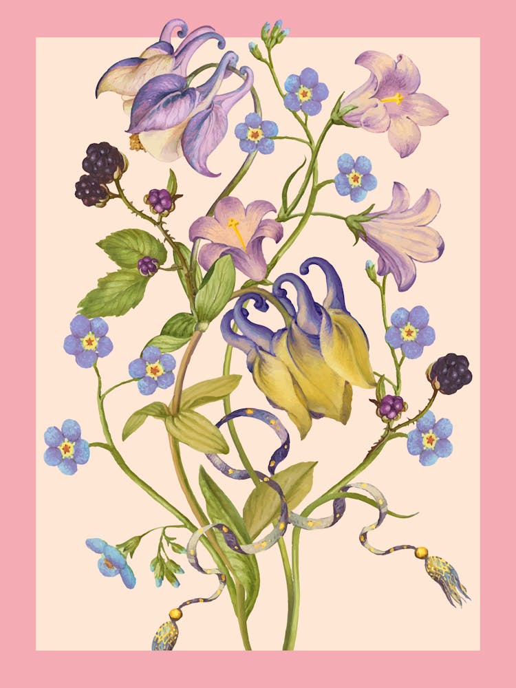 Flowers And Butterflies