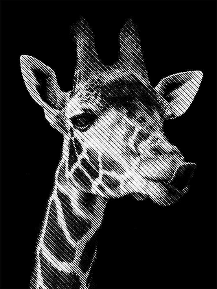 Giraffe Line Art