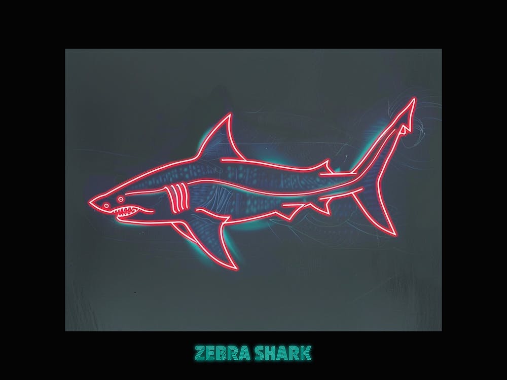 Neon Zebra Shark 2 Poster