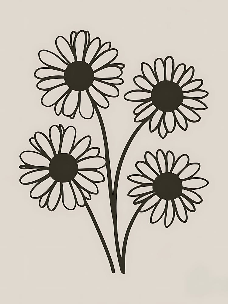 Daisies