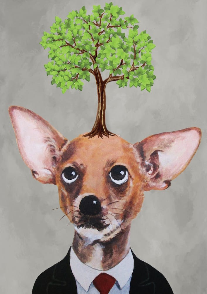 Chihuahua With Tree