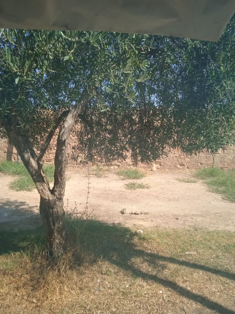 Img 20230912 112025