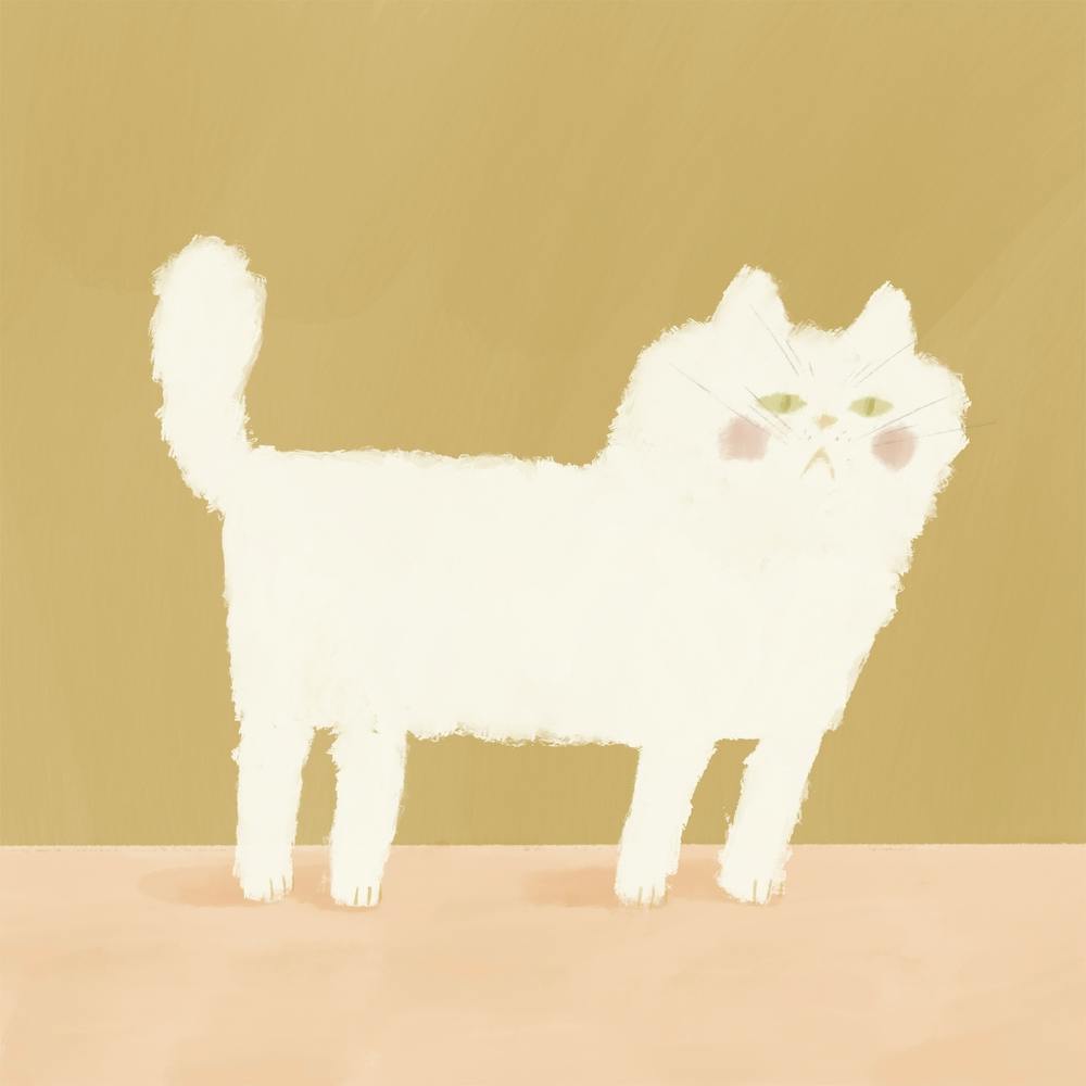 Neutral White Cat Square