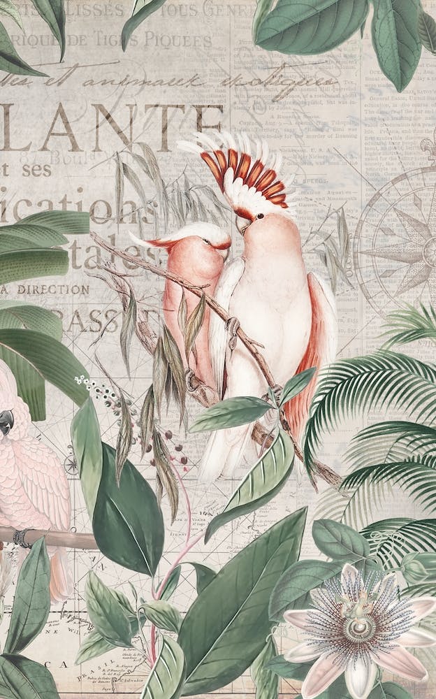 Nostalgic Cockatoo Jungle