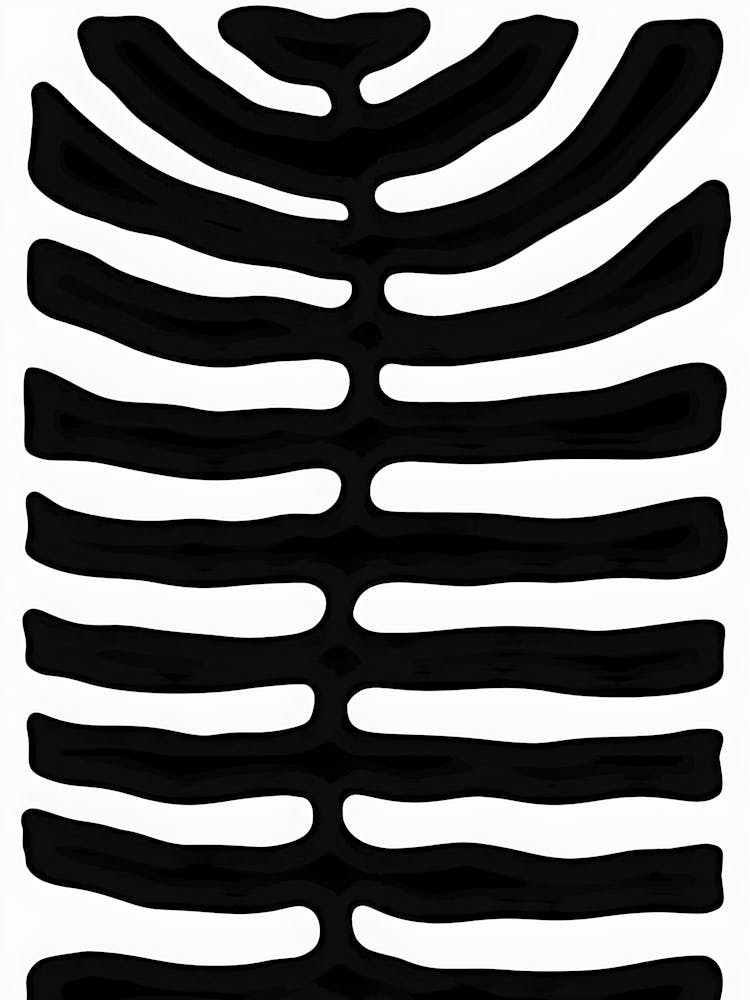 Zebra Stripes 2