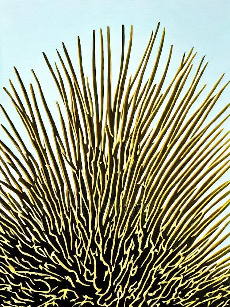 Acropora Spathulata Linocut