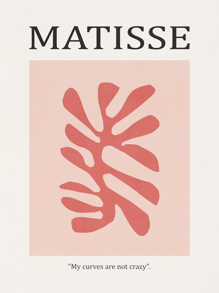 Inspired by Matisse - Red Flower 02