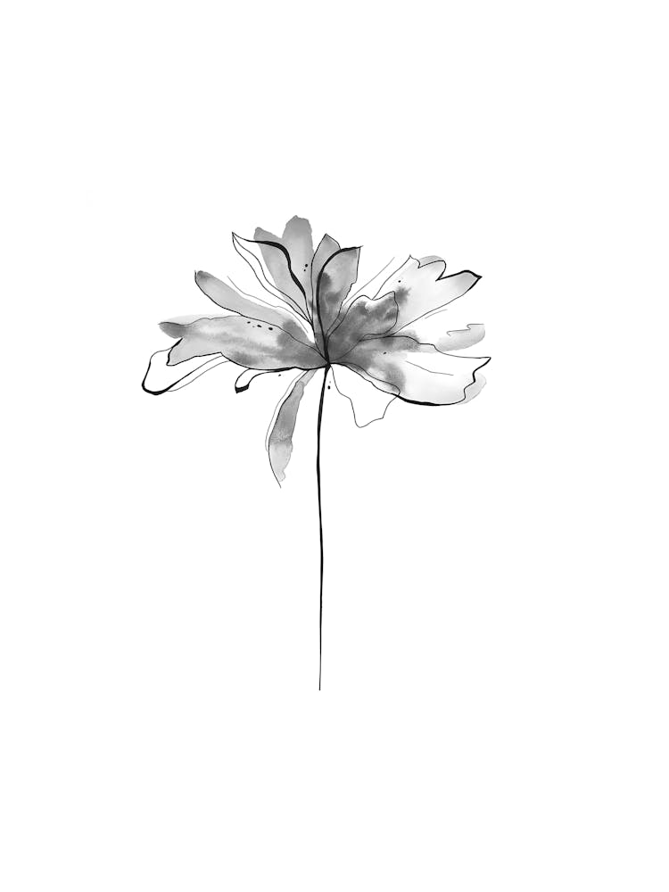 Black And White Flower 4