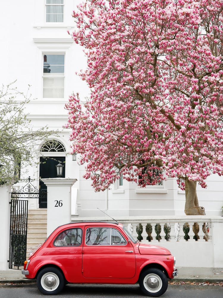 Fiat 500 Magnolia