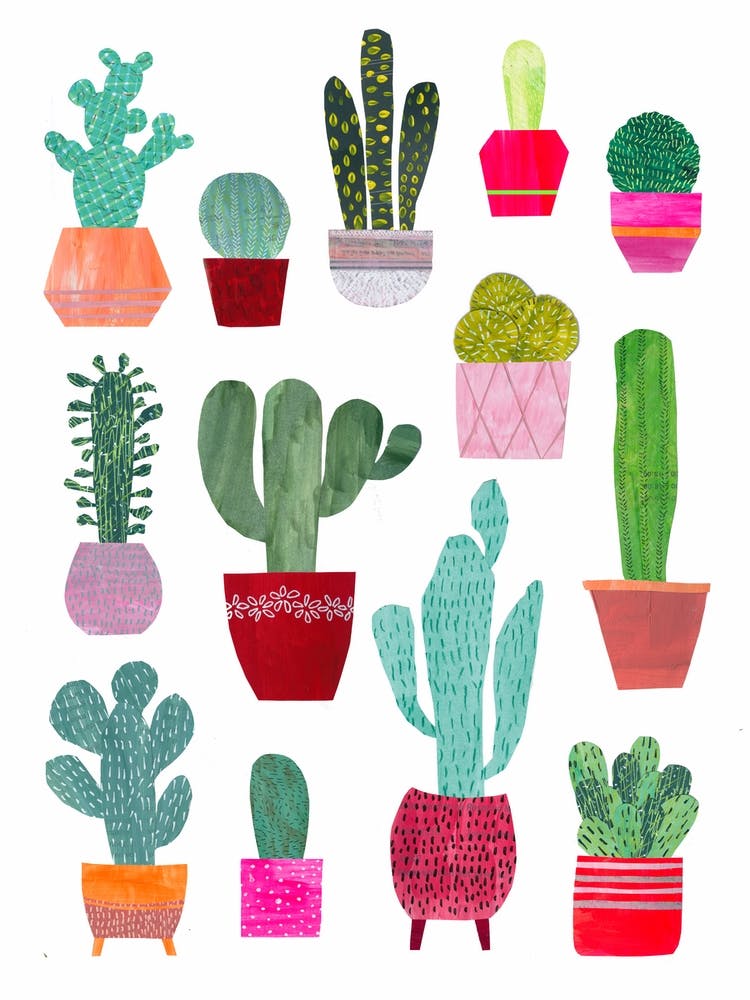 Cacti