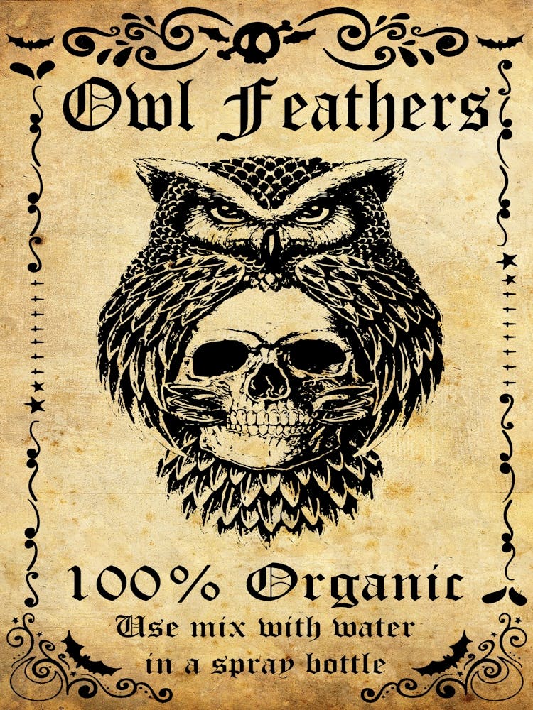 Owl Feathers, Halloween Poster