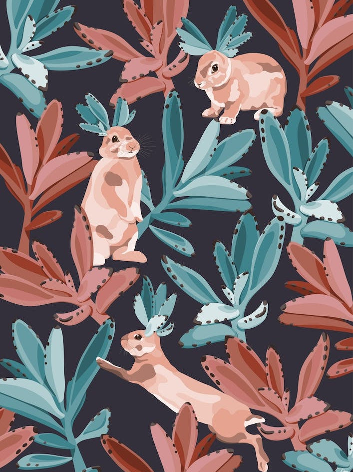 Rabbits In The Succulent Jungle