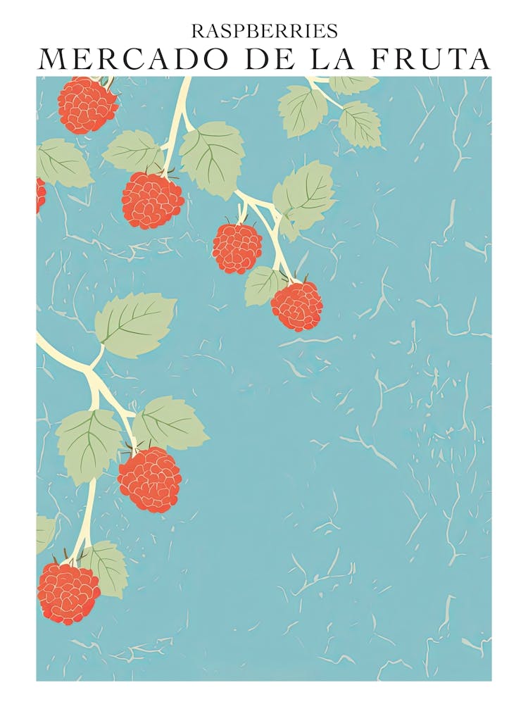 Mercado De La Fruta Raspberries Illustration 7 Poster