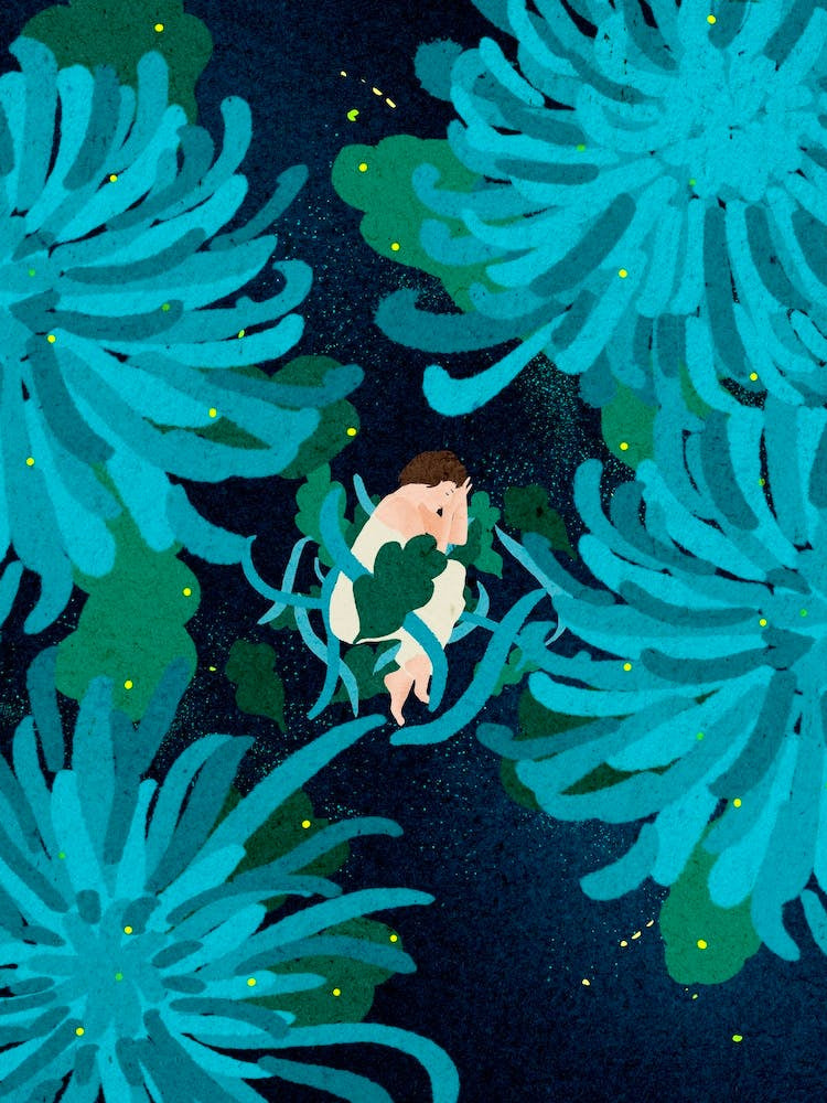 Sleep with Chrysanthemums