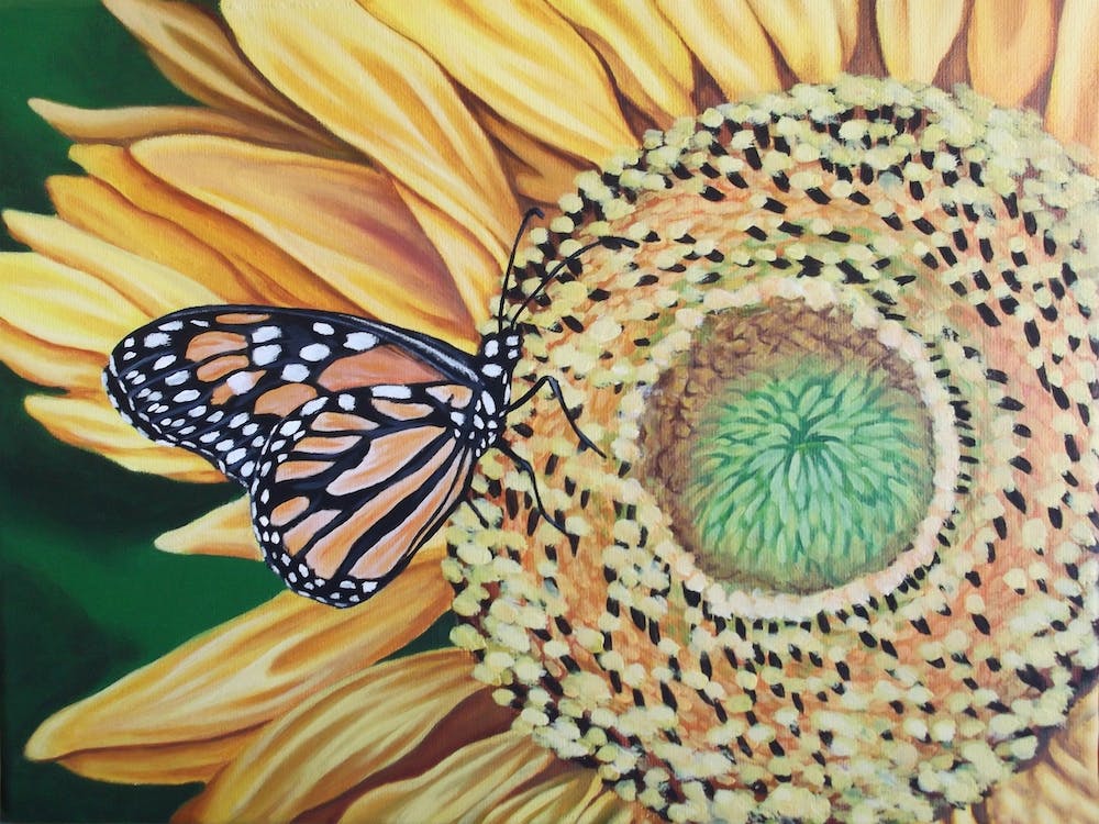 Butterfly&Sunflower