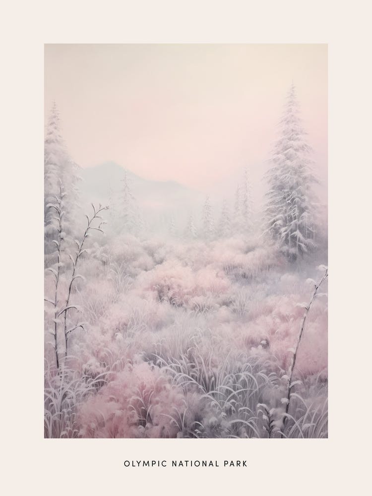 Dreamy Winter National Park Poster  Olympic National Park United States 2