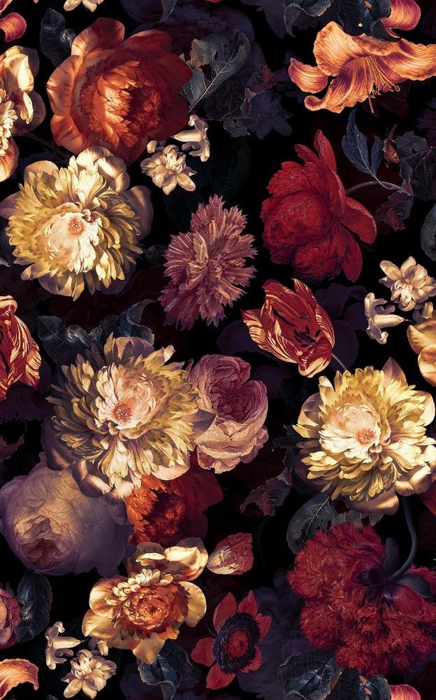 Dutch Baroque Midnight Garden