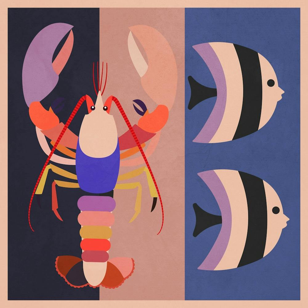 Abstract Marine Life 2