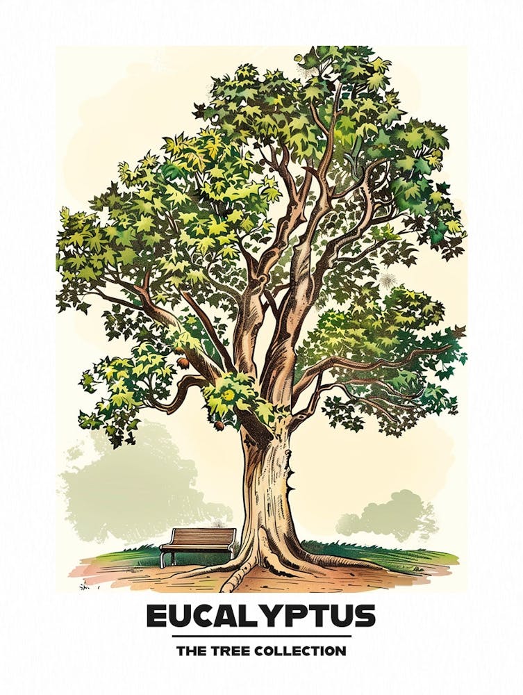 Eucalyptus Tree Storybook Illustration 2 Poster