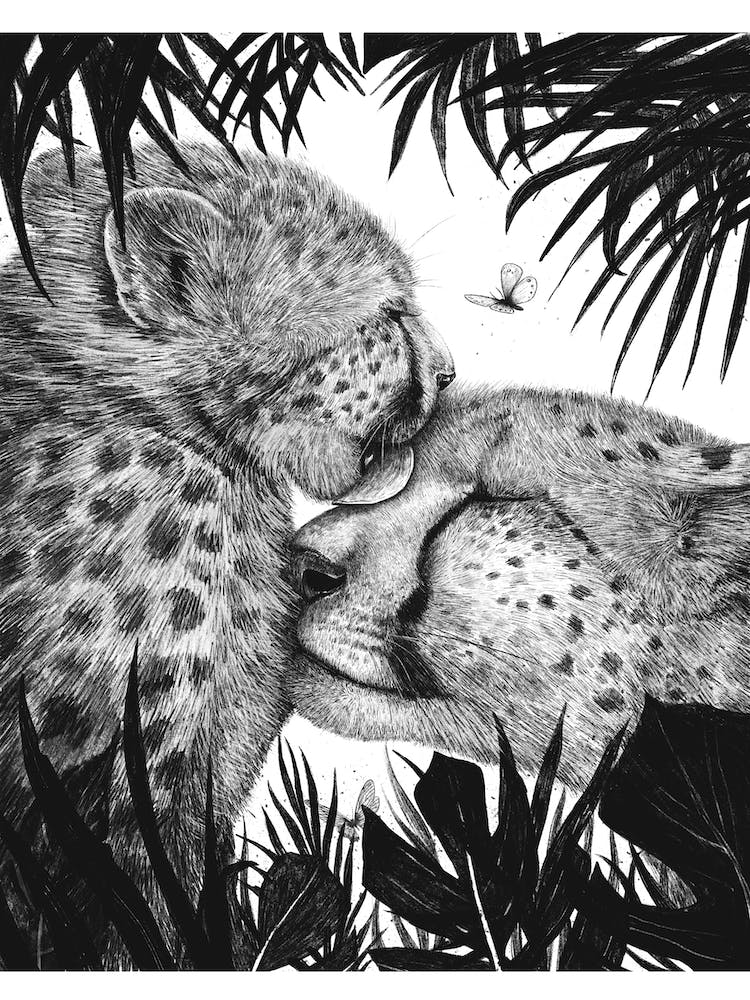 Cheetah Love