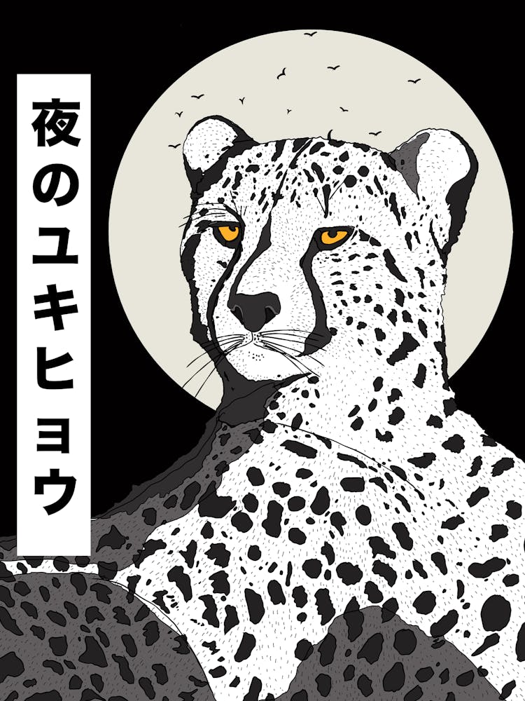 Cheetah
