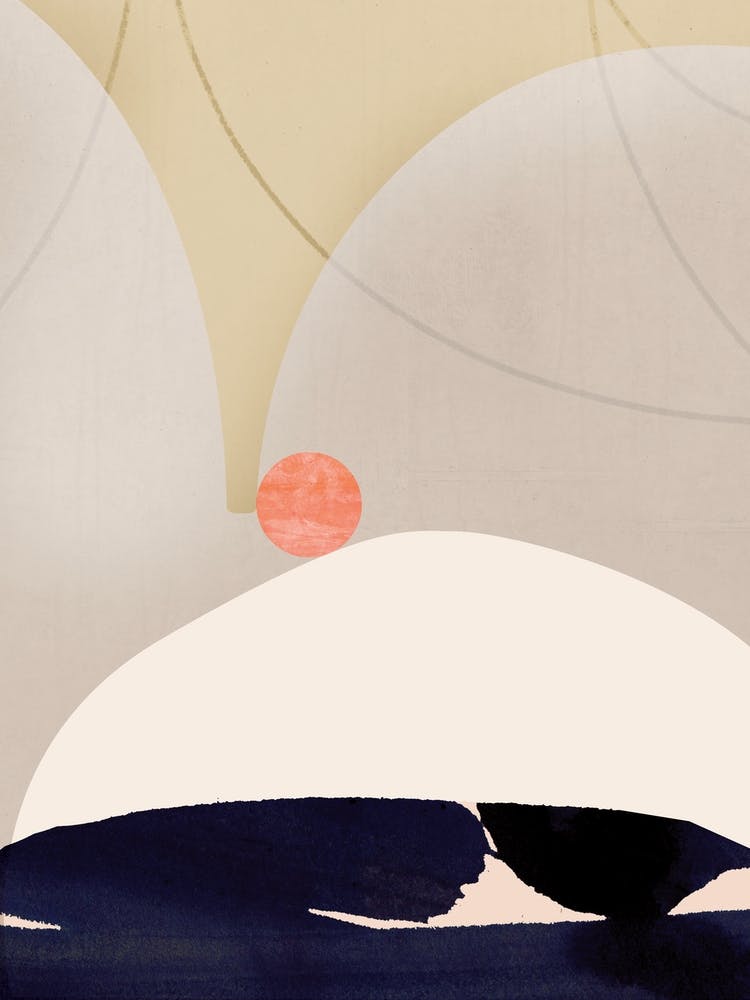 Coral And Black Abstract Print1