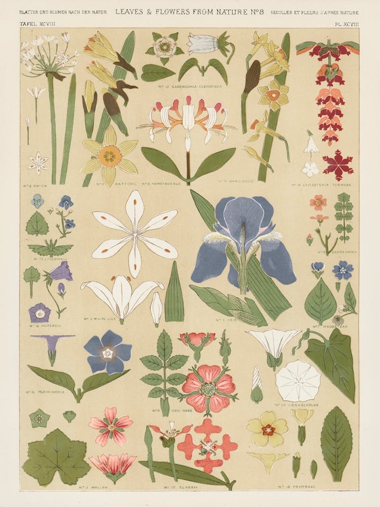 Vintage Pattern, Owen Jones   