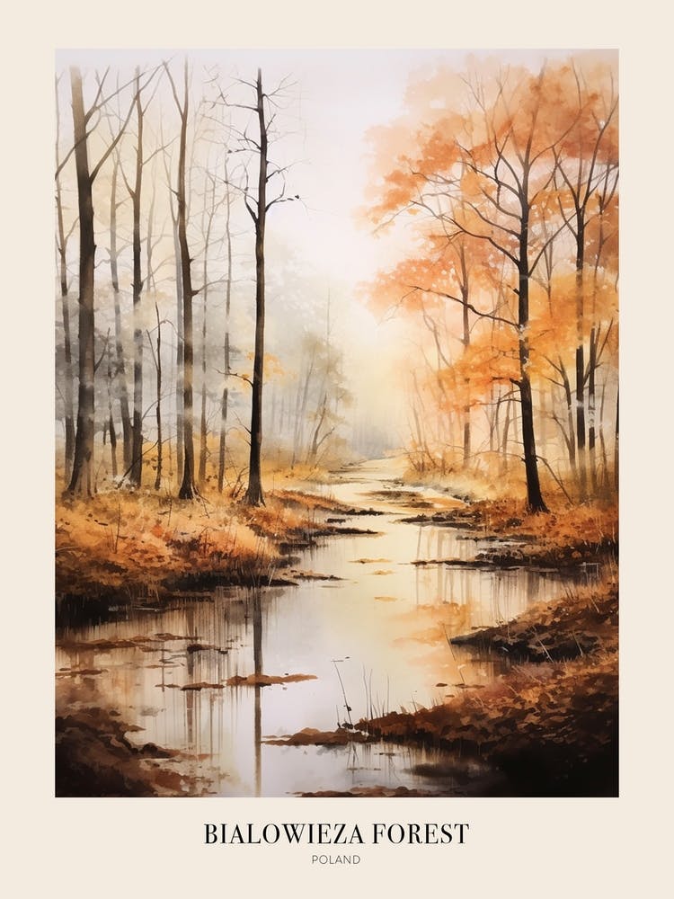 Herbstwaldlandschaft Bialowieza-Urwald Polen 4 Poster