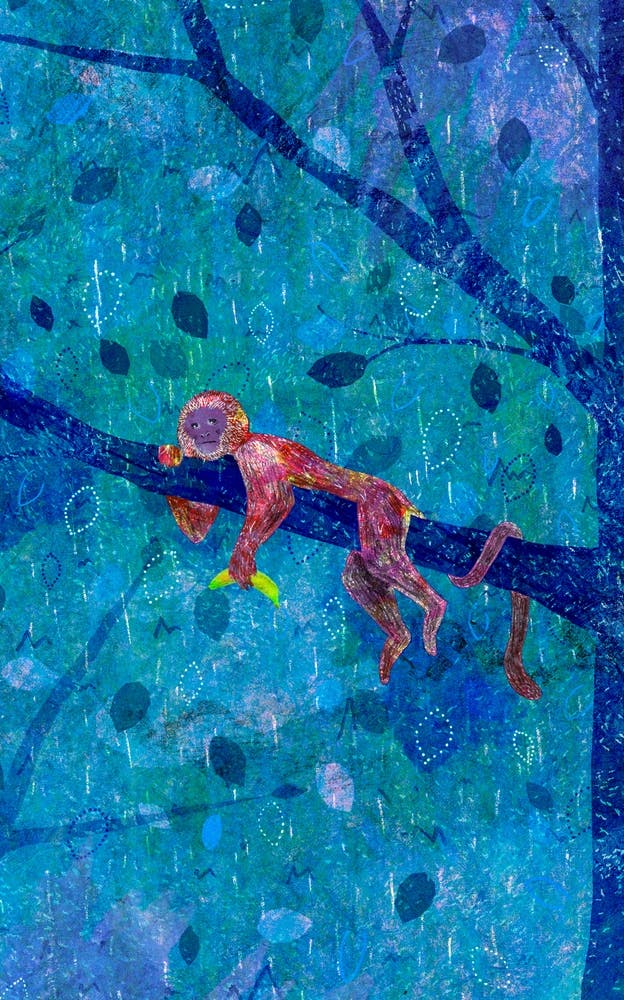 Melancholic Monkey