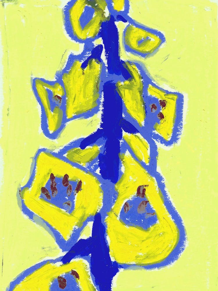 Yellow Flowers