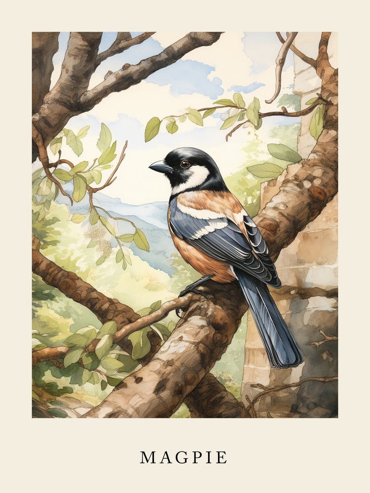 Beatrix Potter Inspired  Animal Watercolour Magpie 1