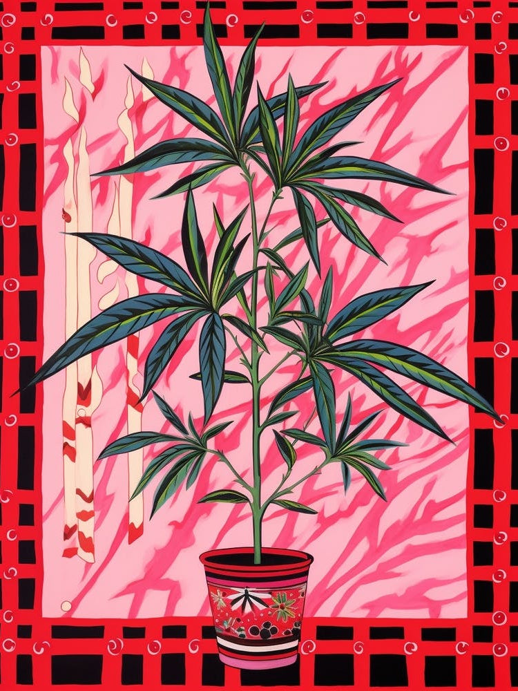 Pink And Red Plant Illustration Dracaena 3