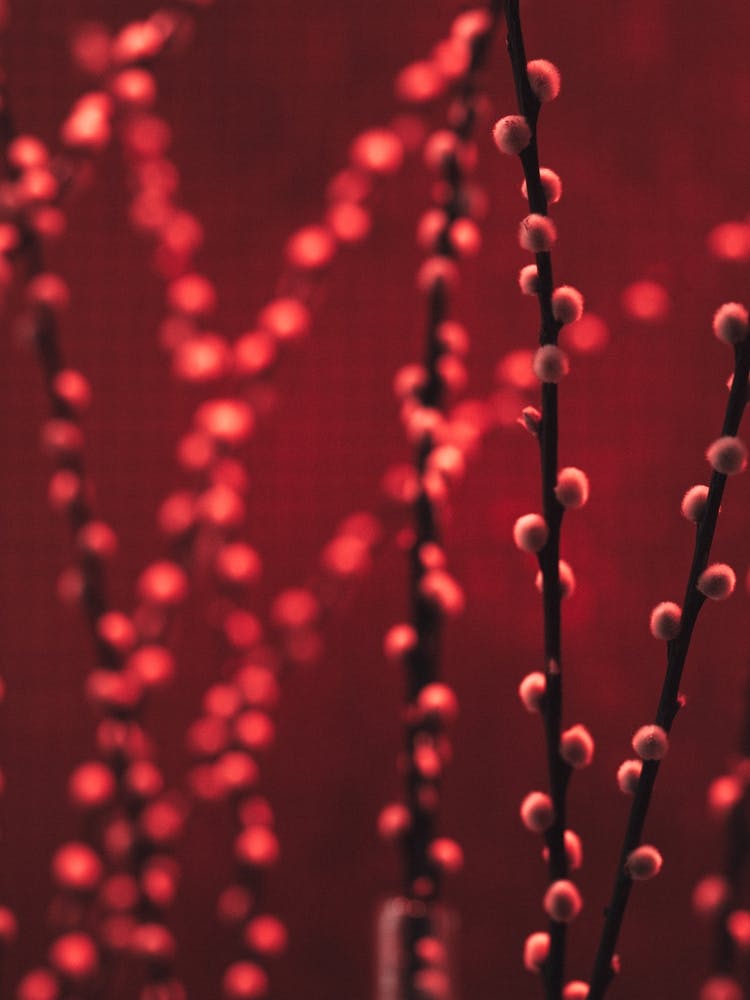 Decorative Monochrome Twig