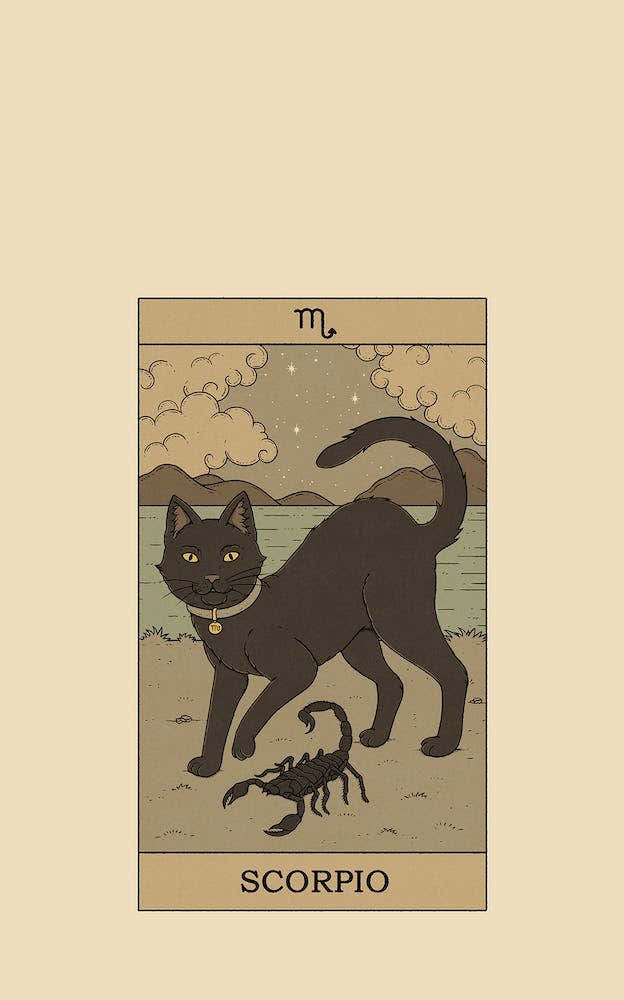 Scorpio Cat