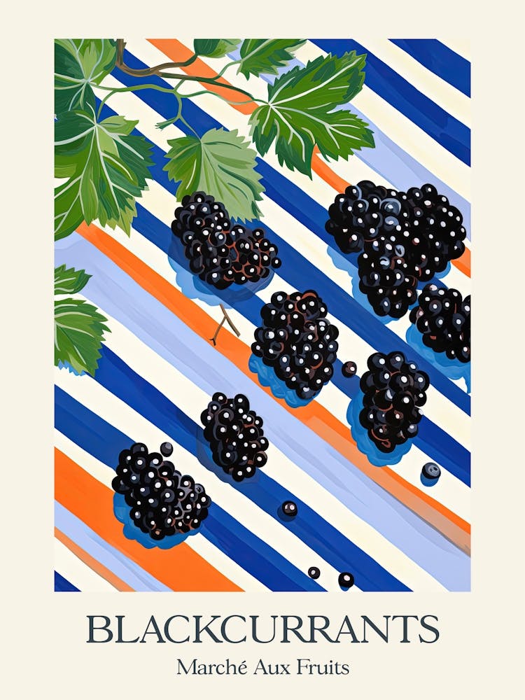 Marche Aux Fruits Blackcurrants Fruit Summer Illustration 4