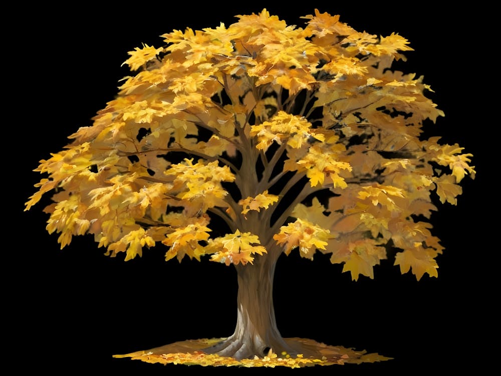 Herbstbaum 3