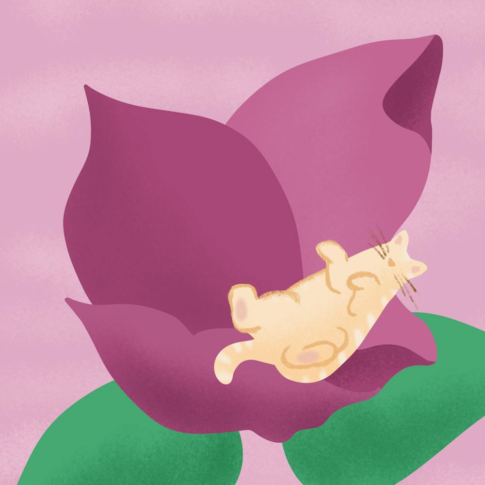 Cat Sleeping In A Flower