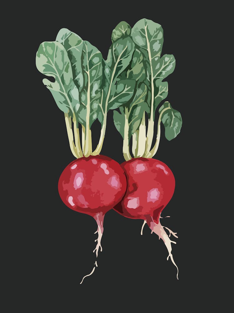 Beets 1