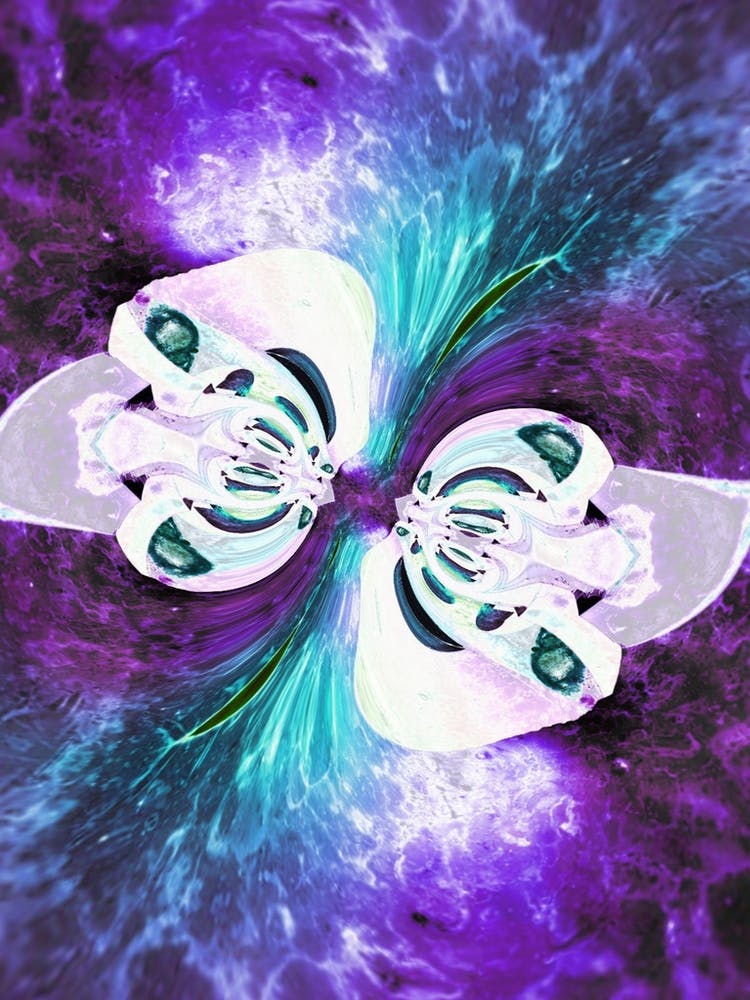 Blue purple fusion