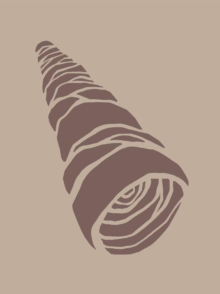 Shells Scandinavian