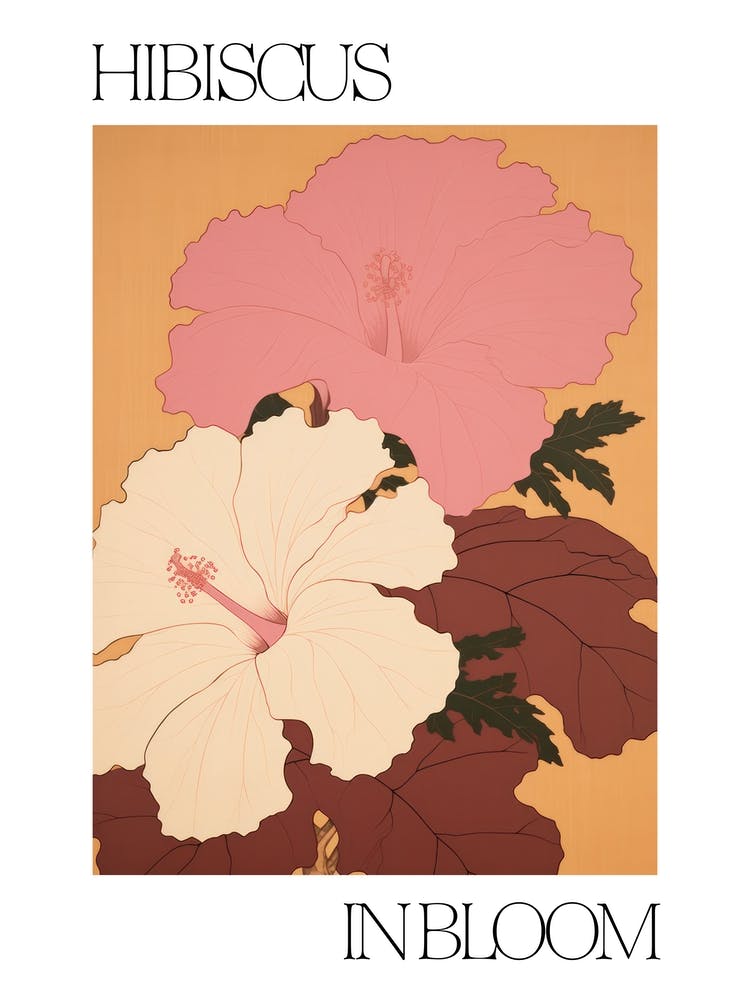 Hibiscus In Bloom Flowers Bold Illustration 4