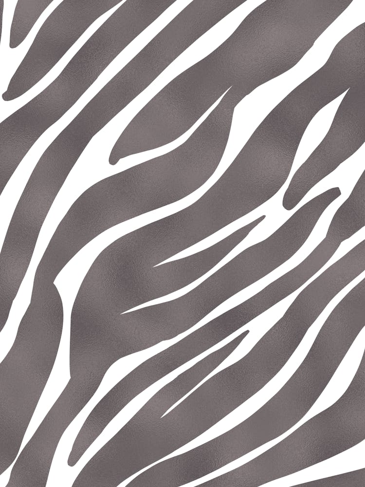 Zebra Print 3