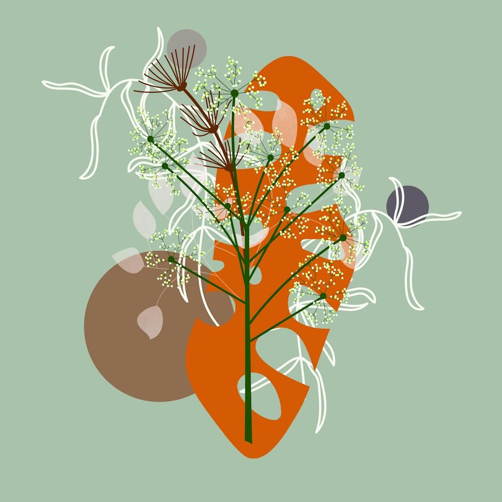 Flowers Plants Tropical Design