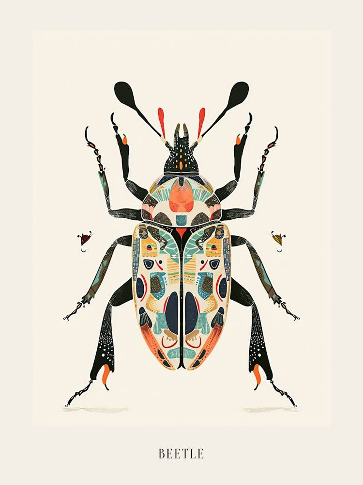 Colourful Insect Illustration Beetle 23 Poster